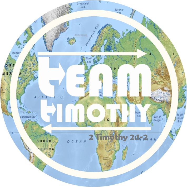 TT globe sticker 2