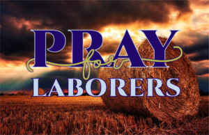 Pray for Laborers (2022 harvest theme, no verse) ONLINE