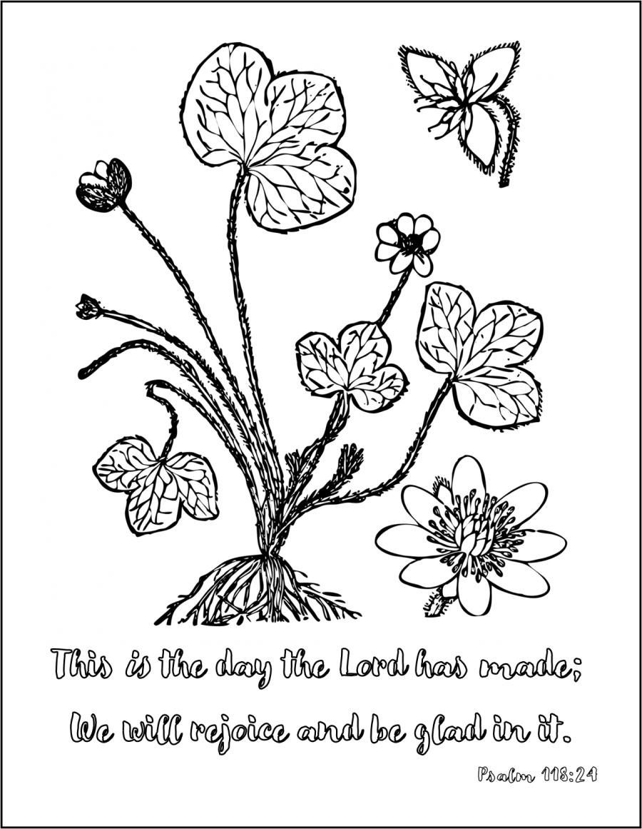 Psalm 118:24